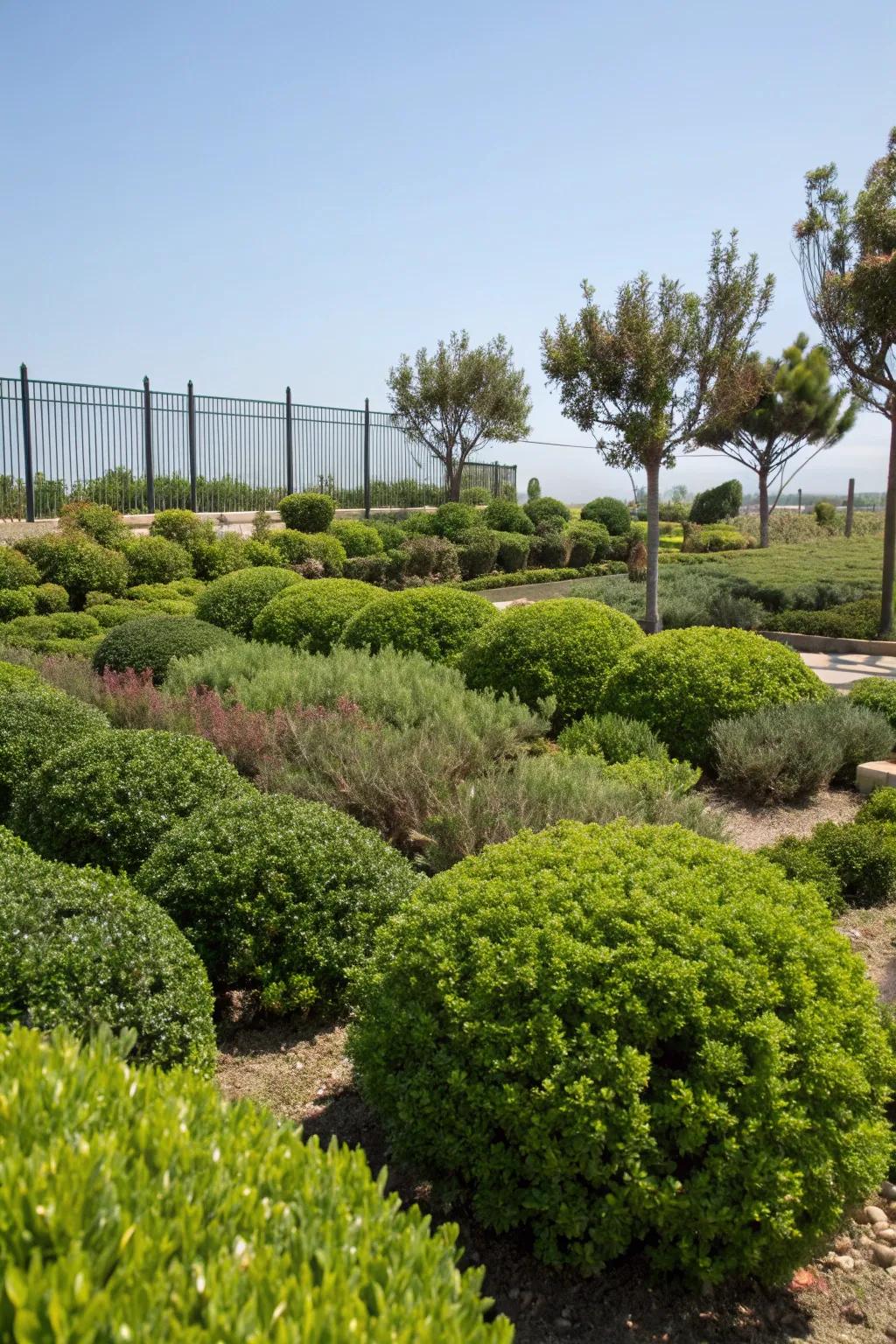 Enhance your landscape with easy-care shrubs.