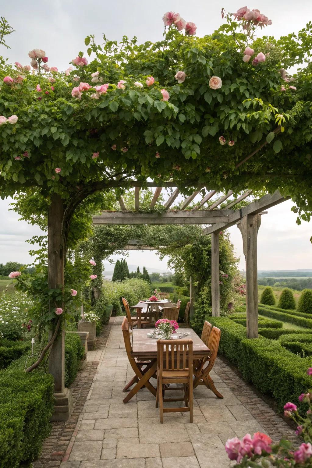 Dine in style under a pergola adorned with climbing roses.