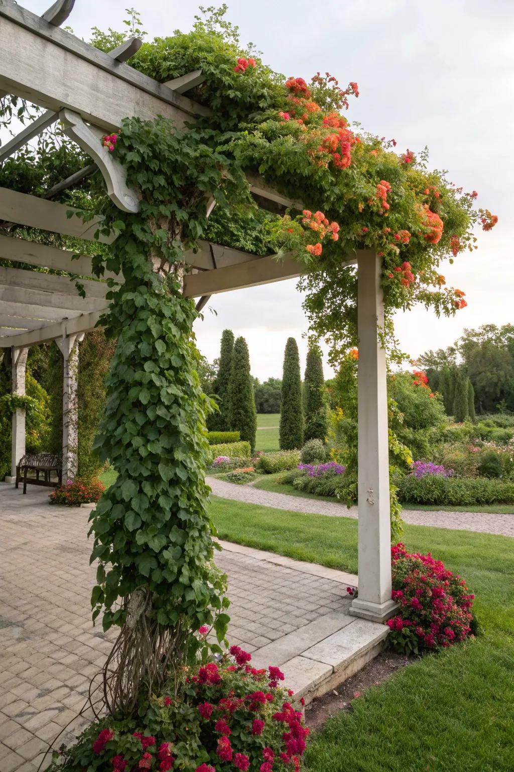 A pergola offers stylish shade and structure.