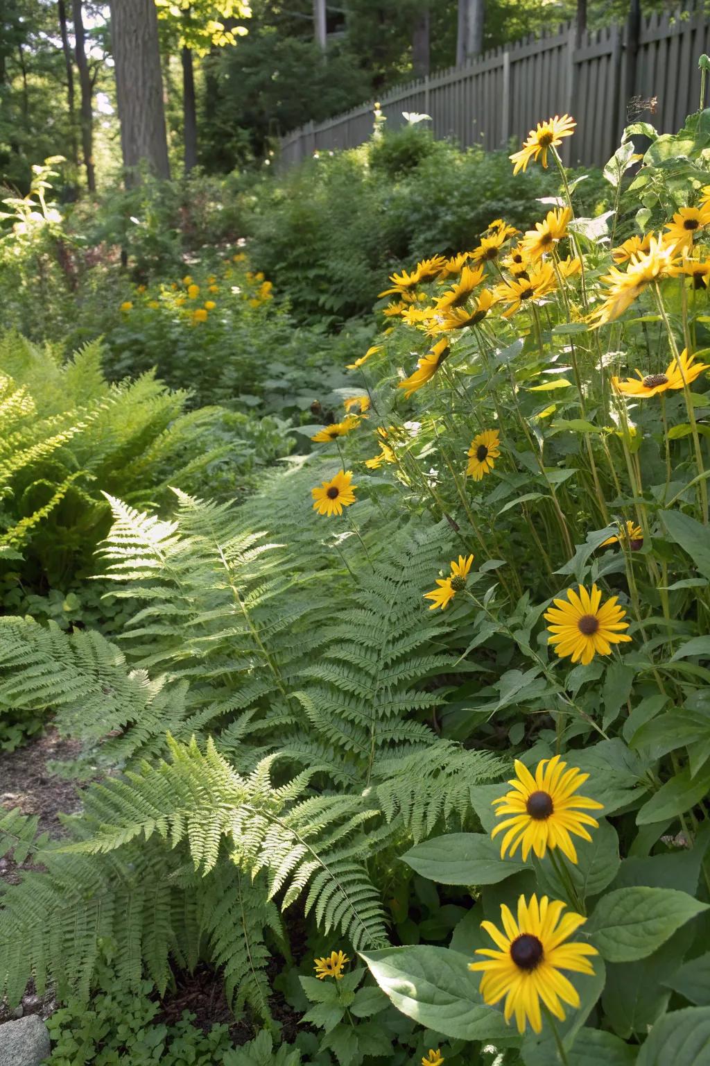 Harmony between shade and sun-loving plants.