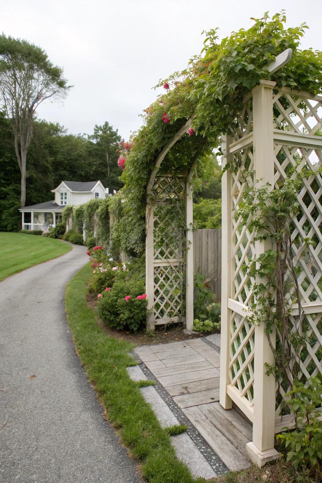 Lattice fencing combines decor and greenery seamlessly.