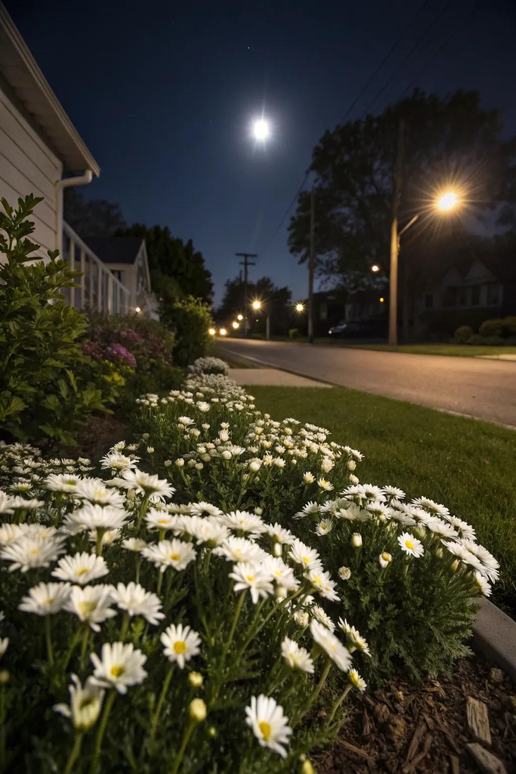 A moon garden adds evening magic with its glowing blooms.