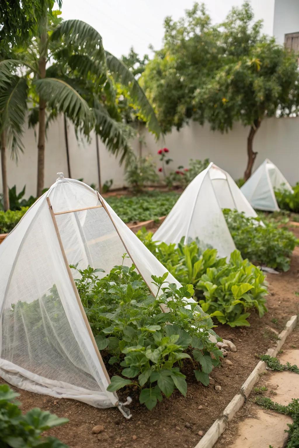 Mini tents offer targeted protection for delicate plants.