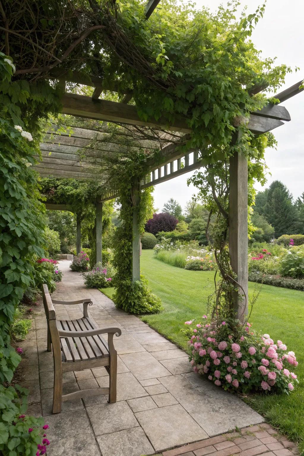 Pergolas provide both shade and a stunning focal point