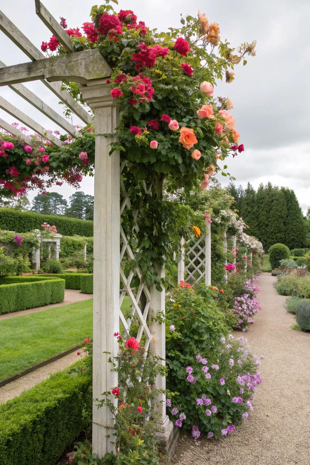 Enhance your garden with floral climbing accents.