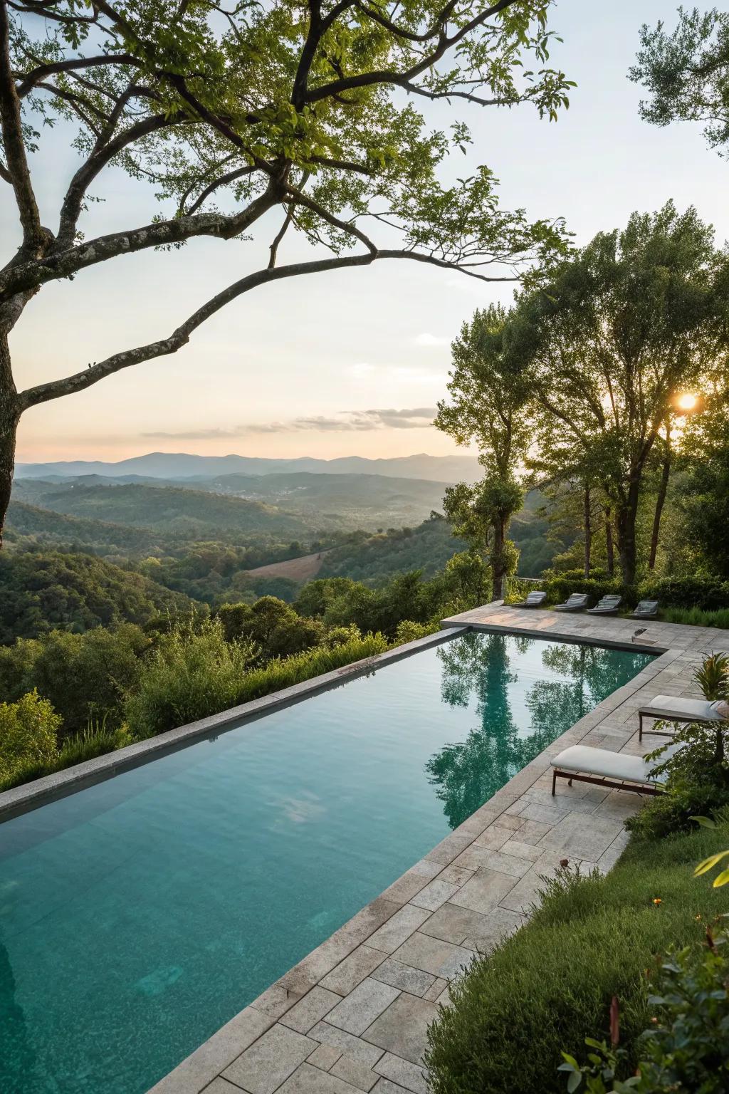 An inground pool that beautifully integrates with its natural environment.