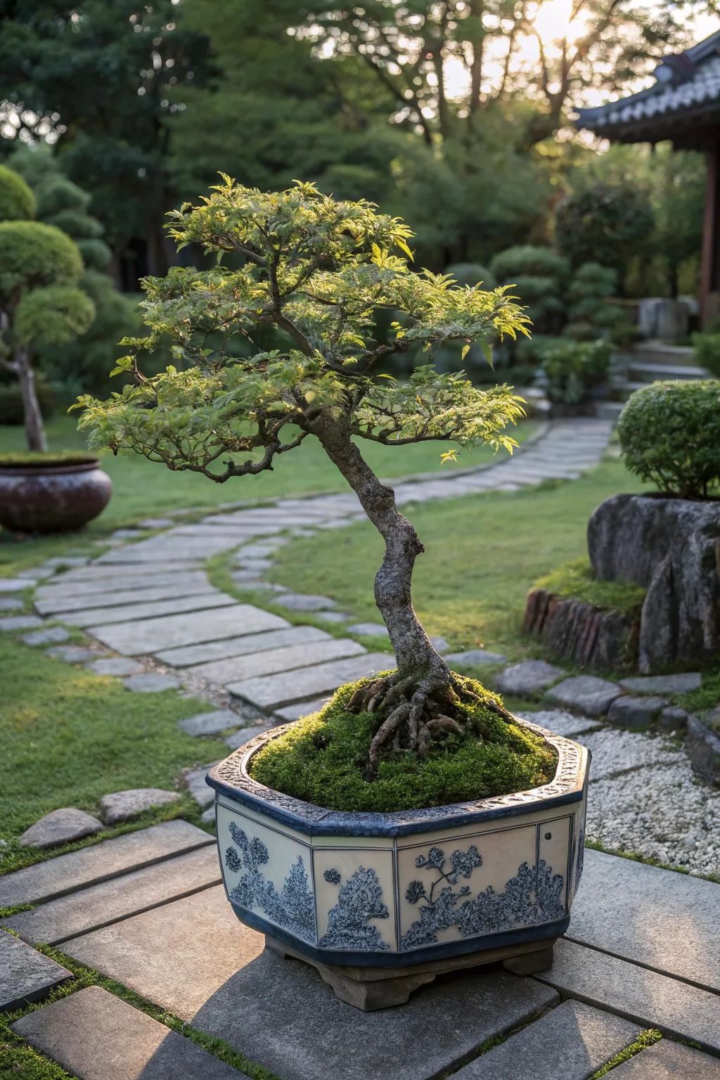 A bonsai tree adds sculptural beauty and elegance.