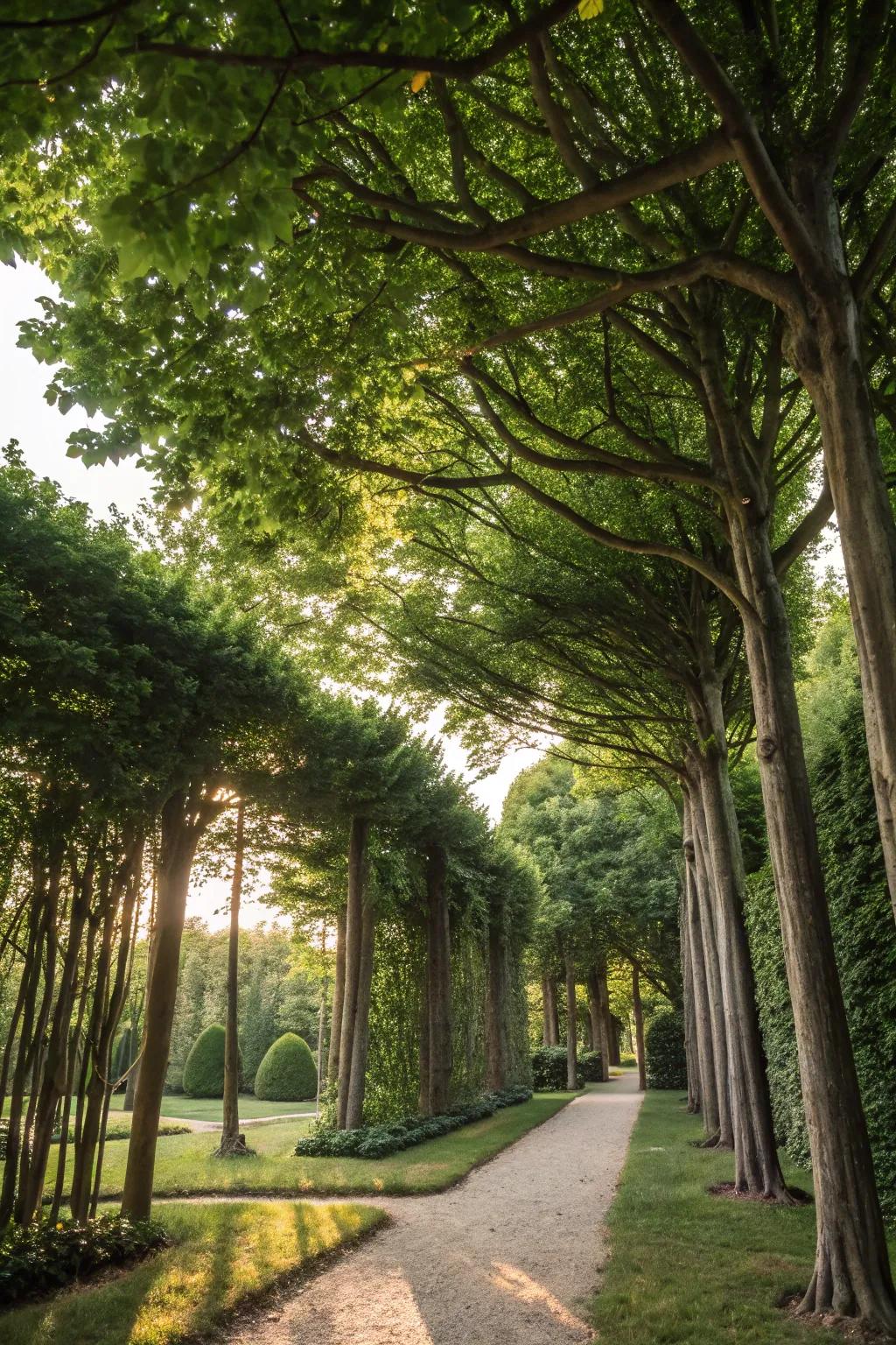 Trees as natural privacy screens create a secluded haven.
