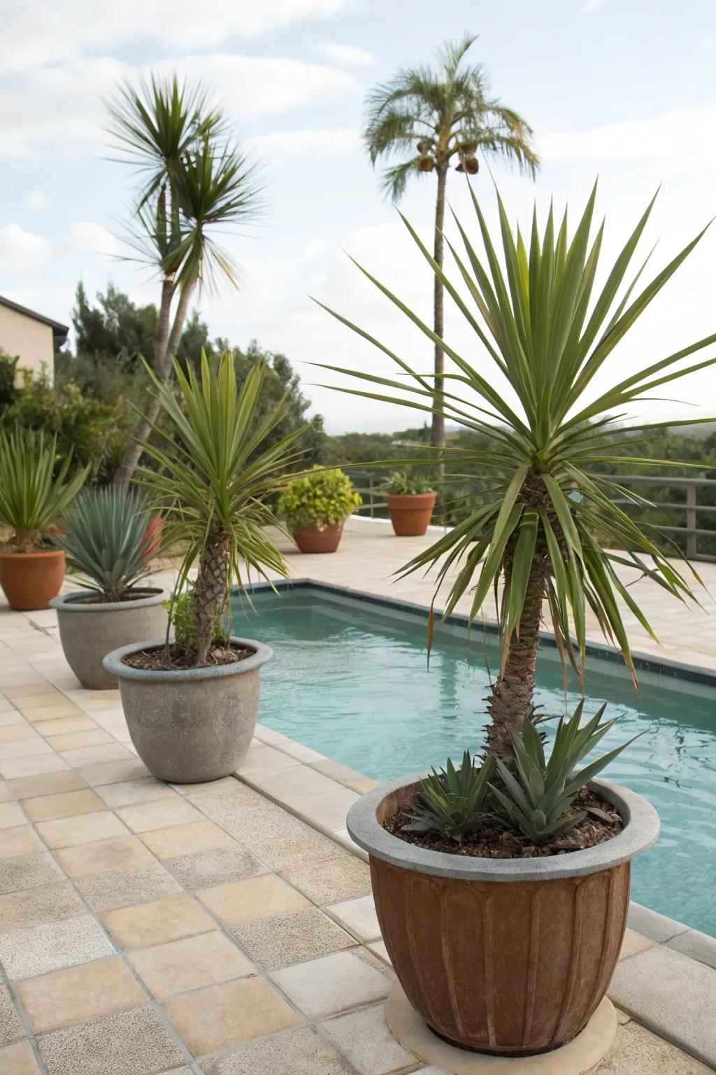 Keep your poolside lush with wind-resistant plants.