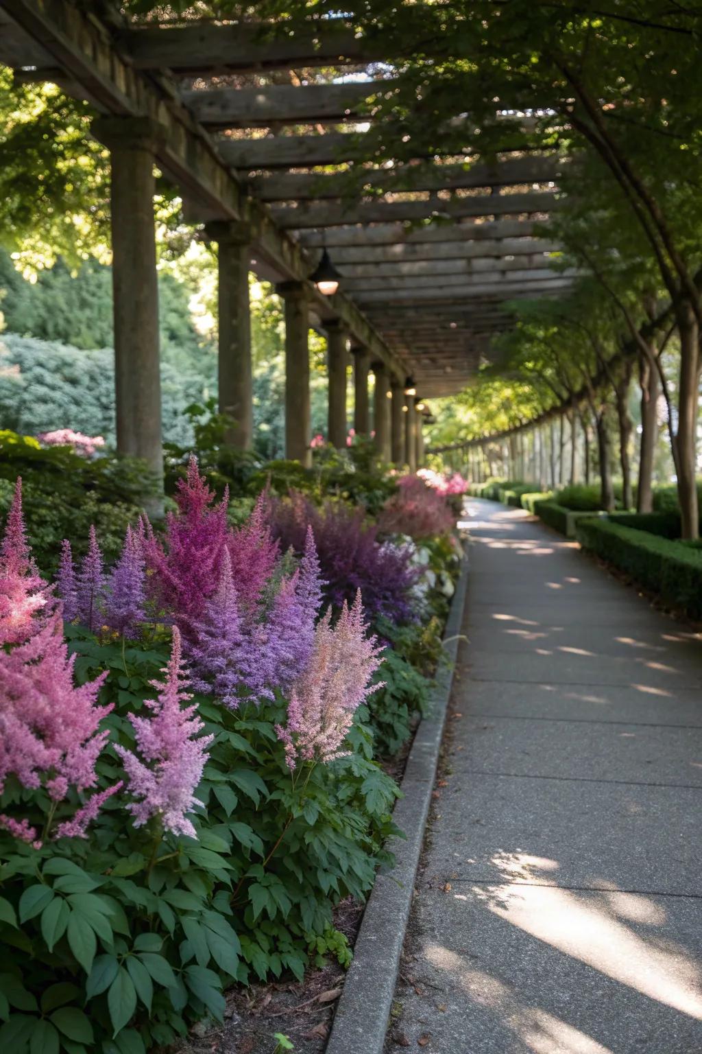 Astilbe adds height and texture with its showy plumes.