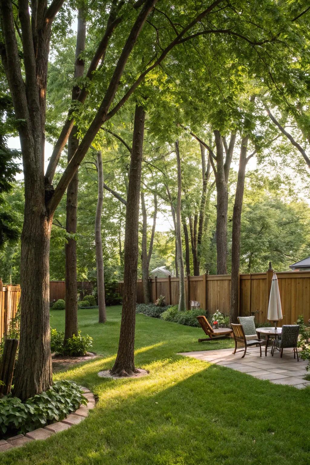 Trees offer natural privacy and energy-saving shade.