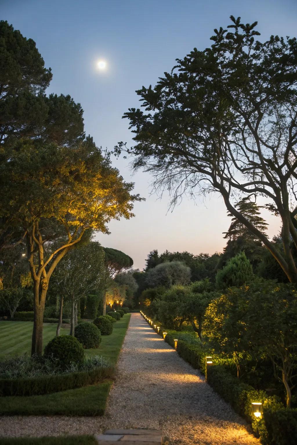 Moonlighting offers natural elegance in garden illumination.