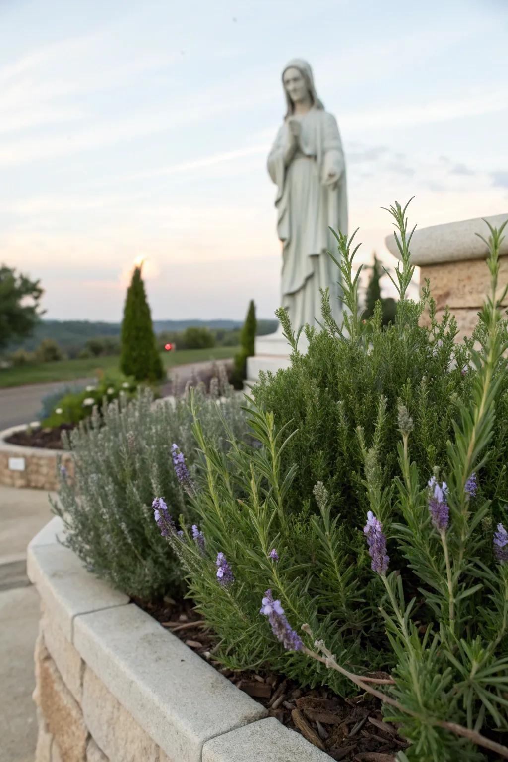Fragrant herbs add practicality and beauty to a Mary garden.