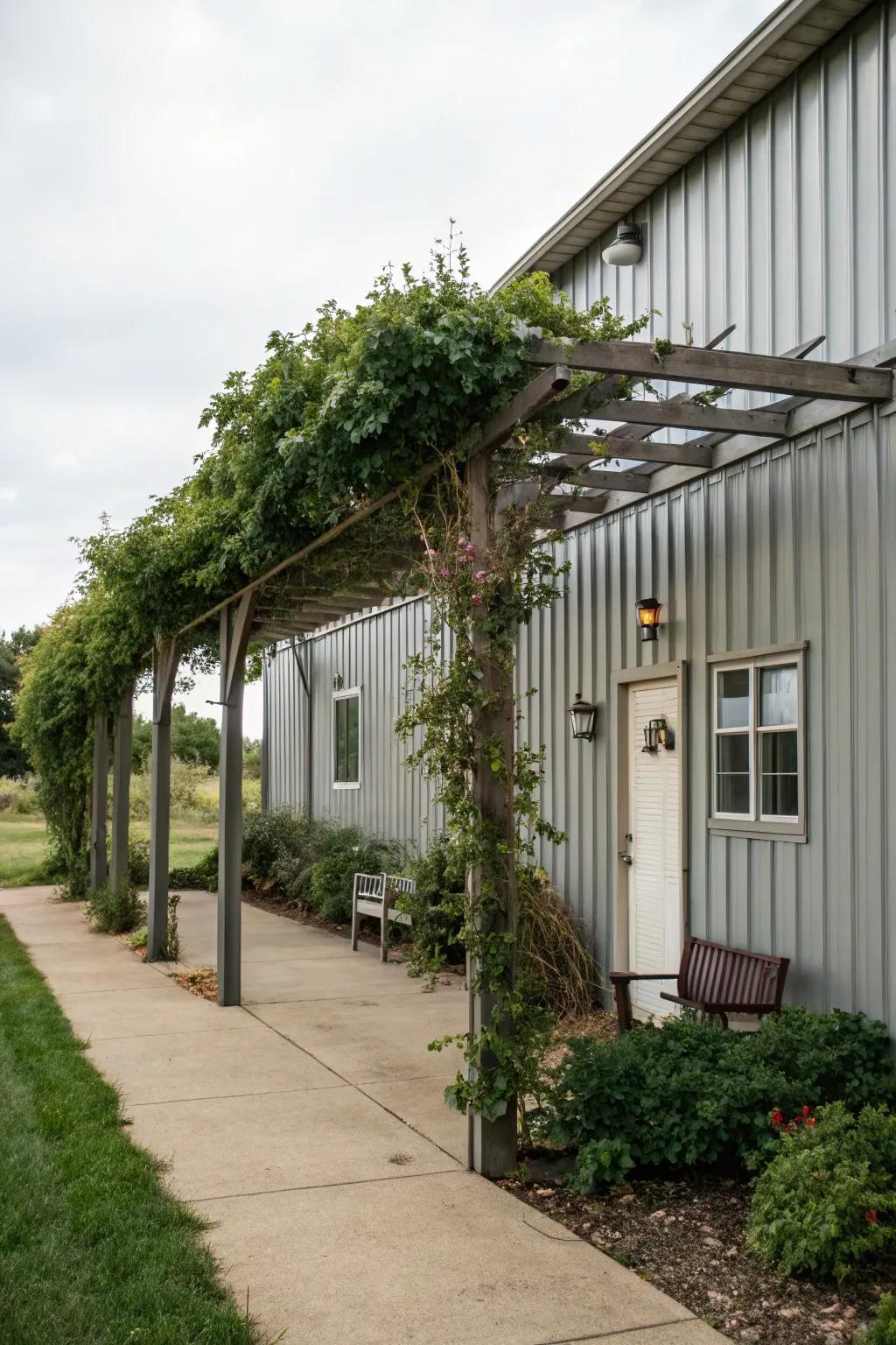 A pergola providing shade next to a metal building.