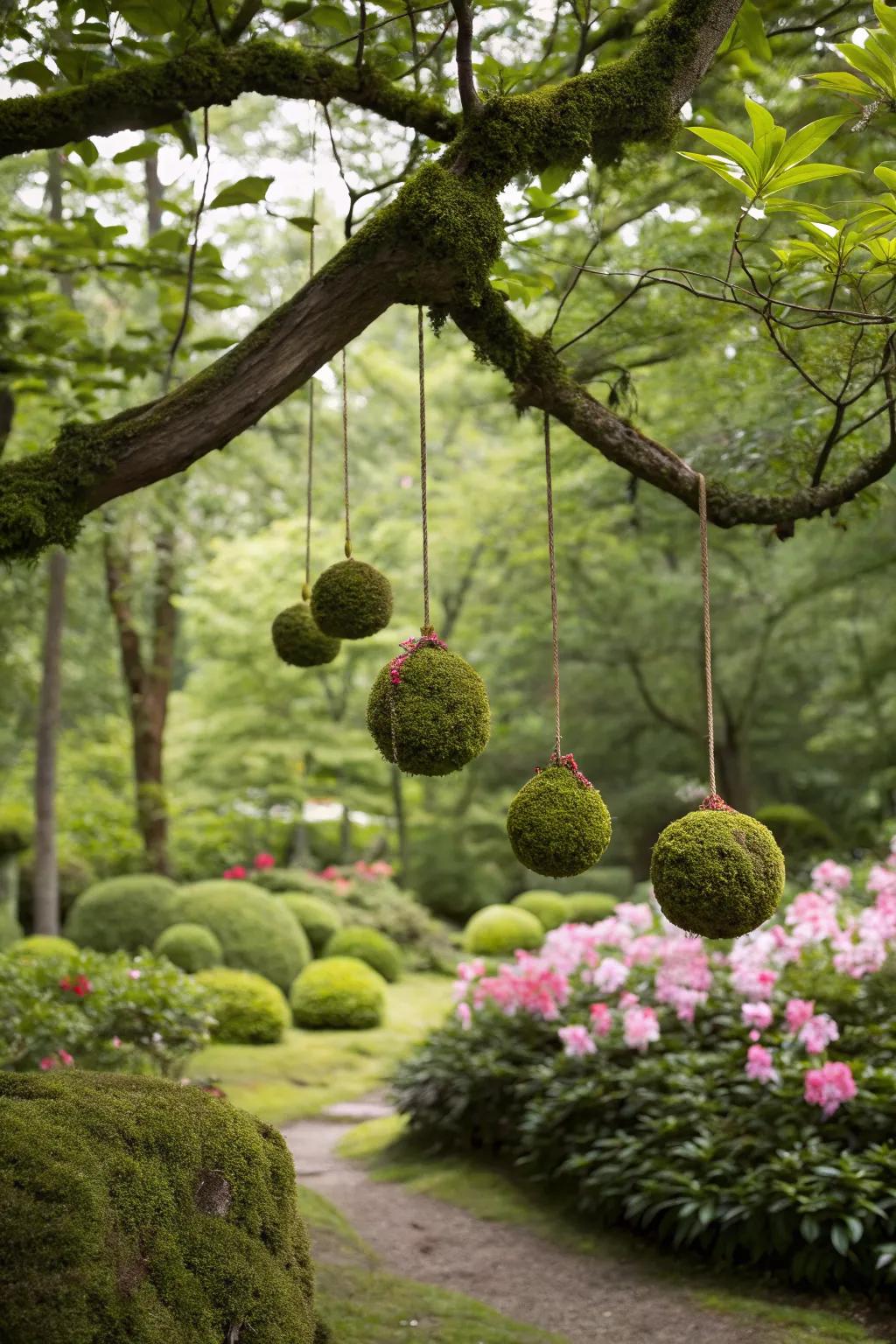 Hanging moss balls gently swaying from tree branches, adding a whimsical touch to the garden.