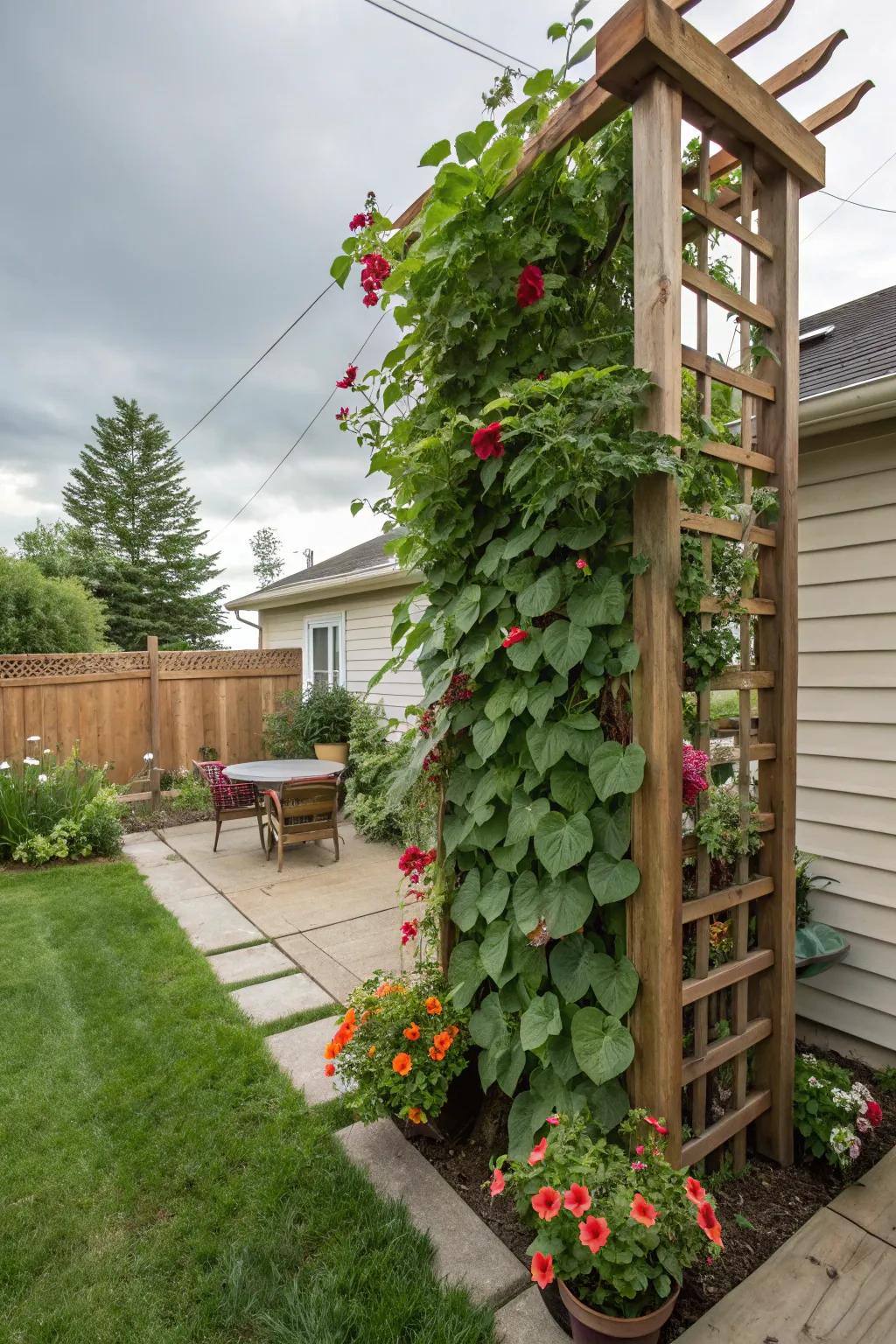 A creative vertical garden making the most of limited space.