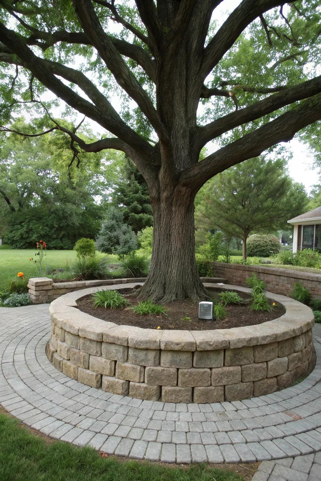 A majestic tree highlighted by a circular paver retaining wall.
