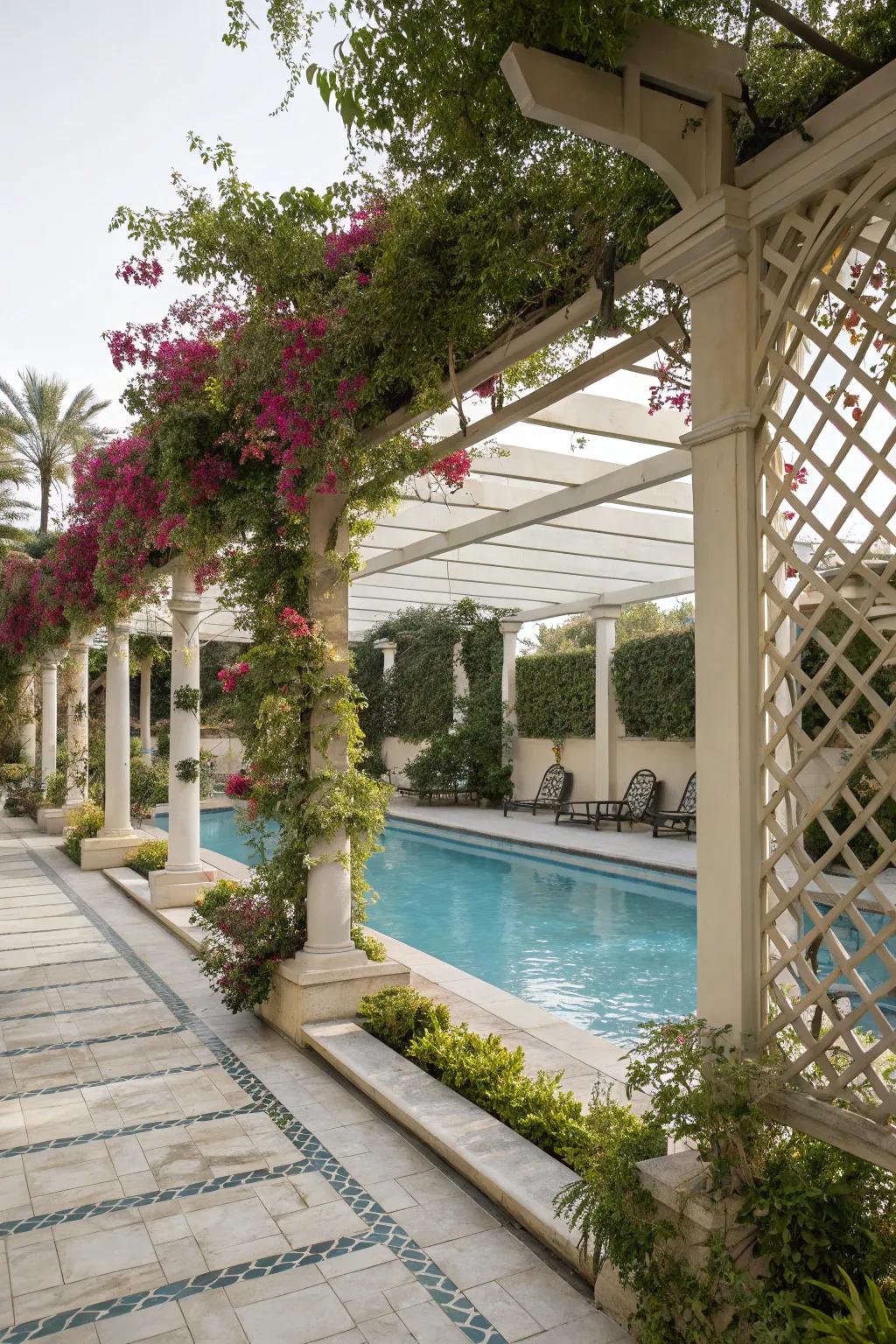 A pool deck enhanced with decorative trellises and climbing plants.