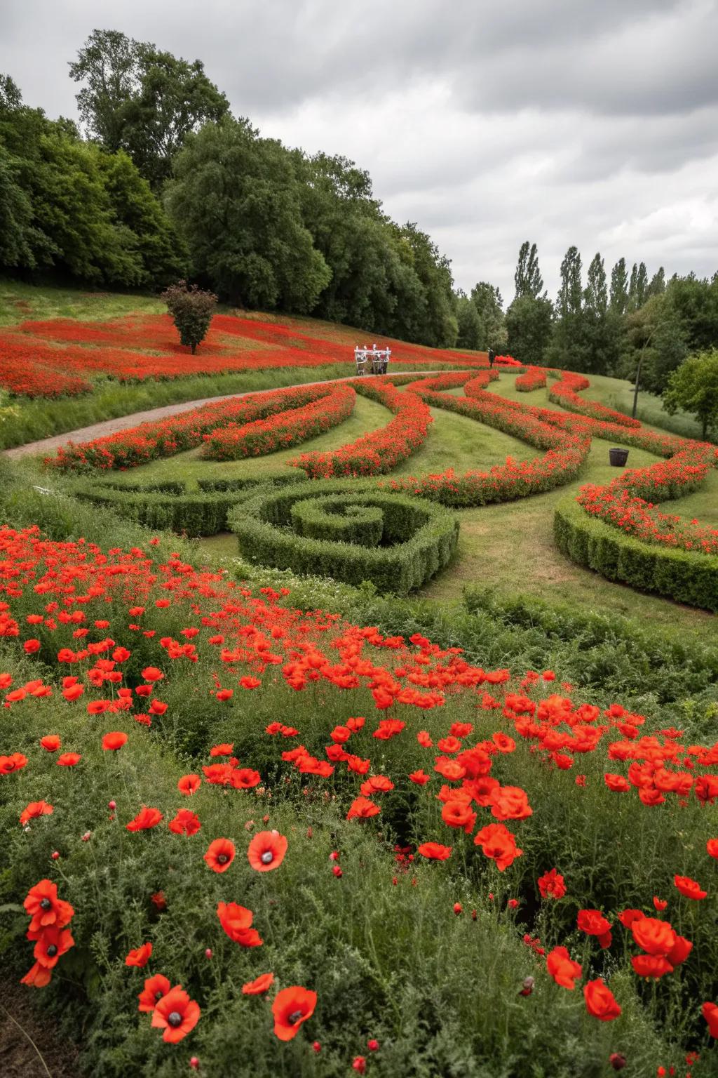 An artistic garden layout featuring poppies in unique patterns.