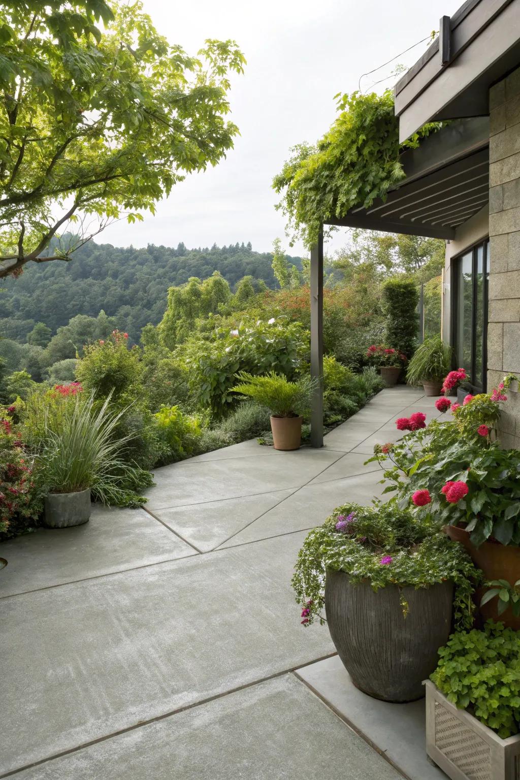 Lush greenery can transform a patio into a tranquil retreat.