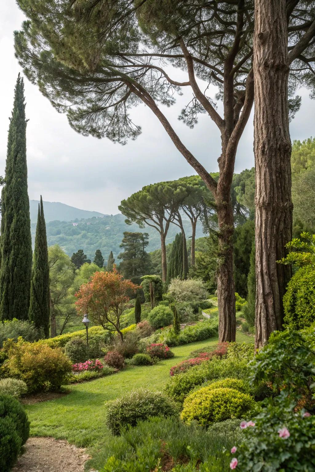 Natural backdrop of trees and shrubs