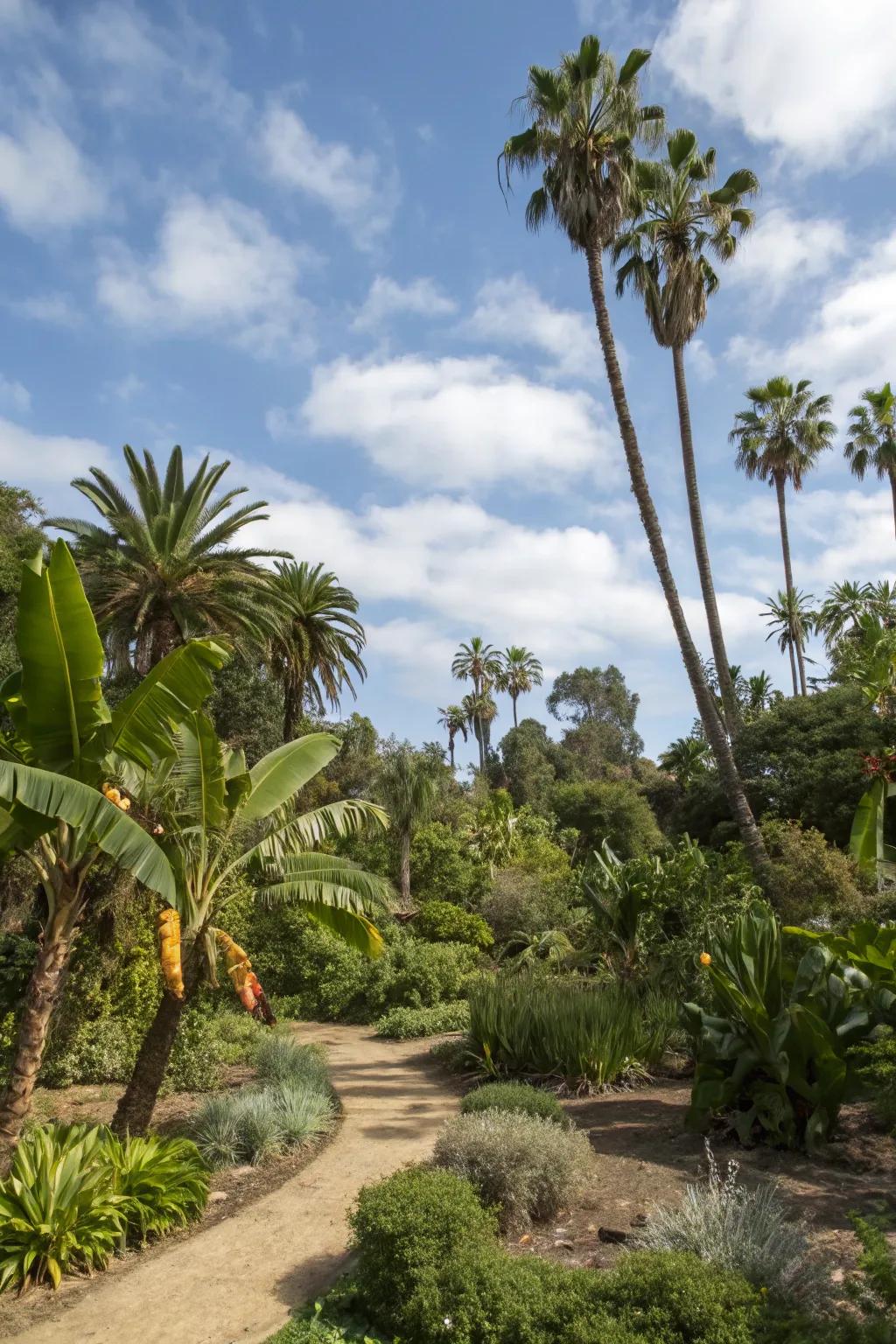 Tropical plants bring a lush, resort feel to your garden.
