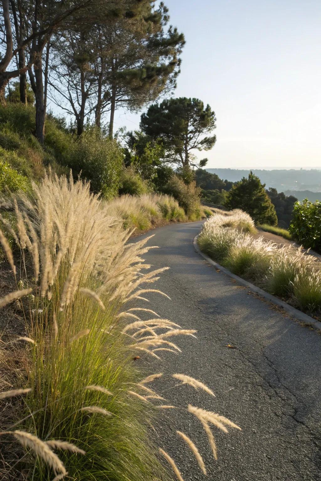 Decorative grasses add movement and texture.