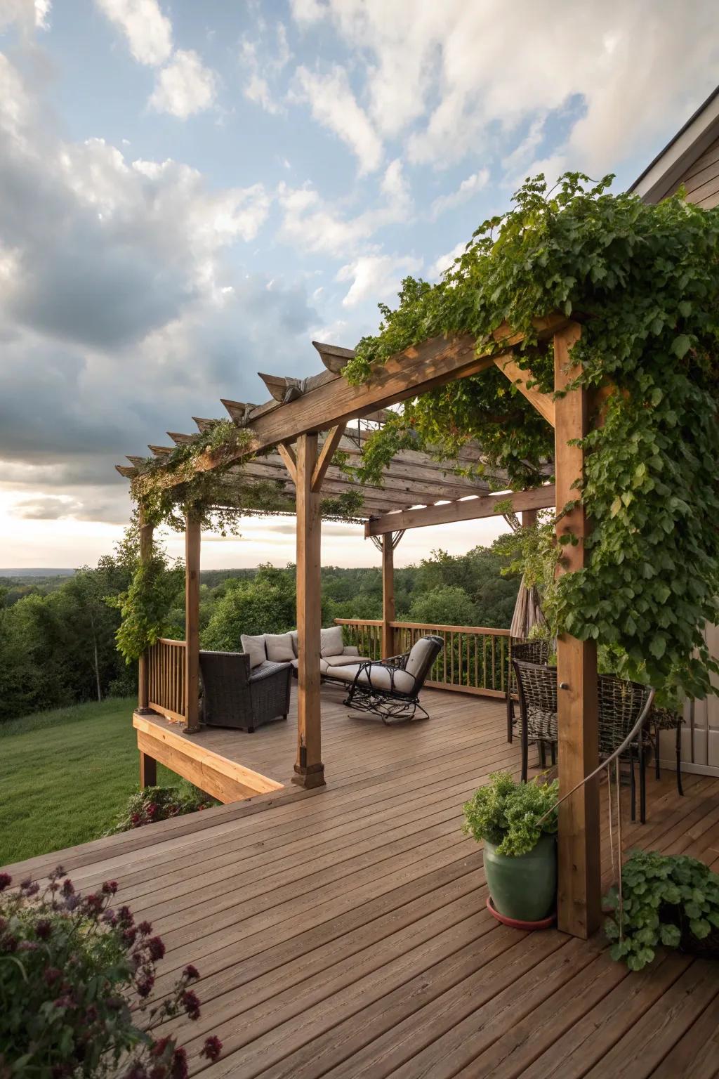 A pergola offers both shade and privacy on a deck.