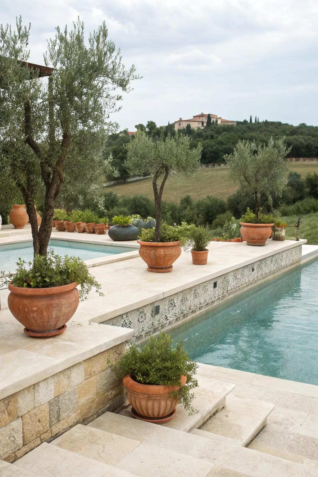 Travertine coping offers timeless elegance.