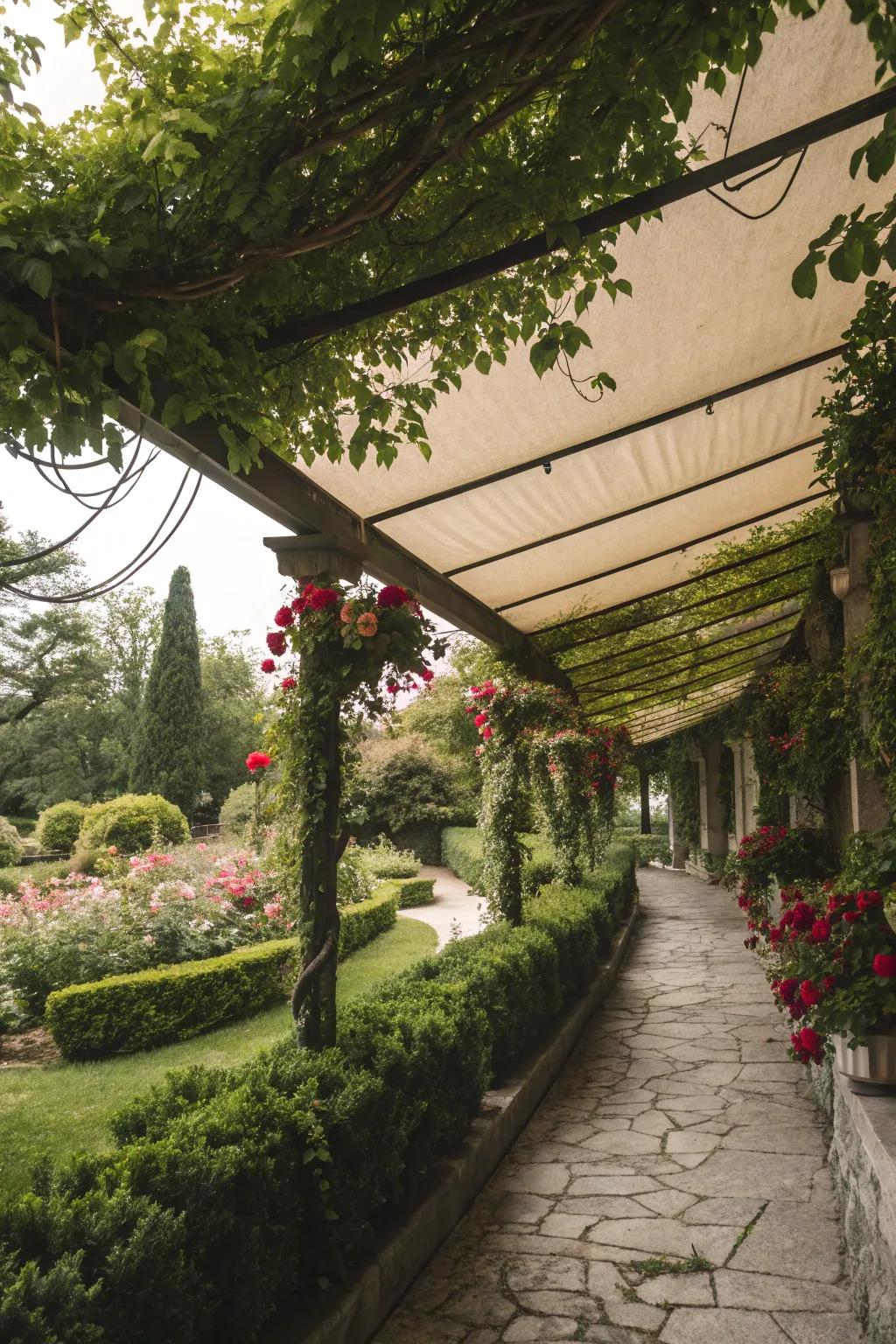 A lush awning with hanging plants creating a green oasis.
