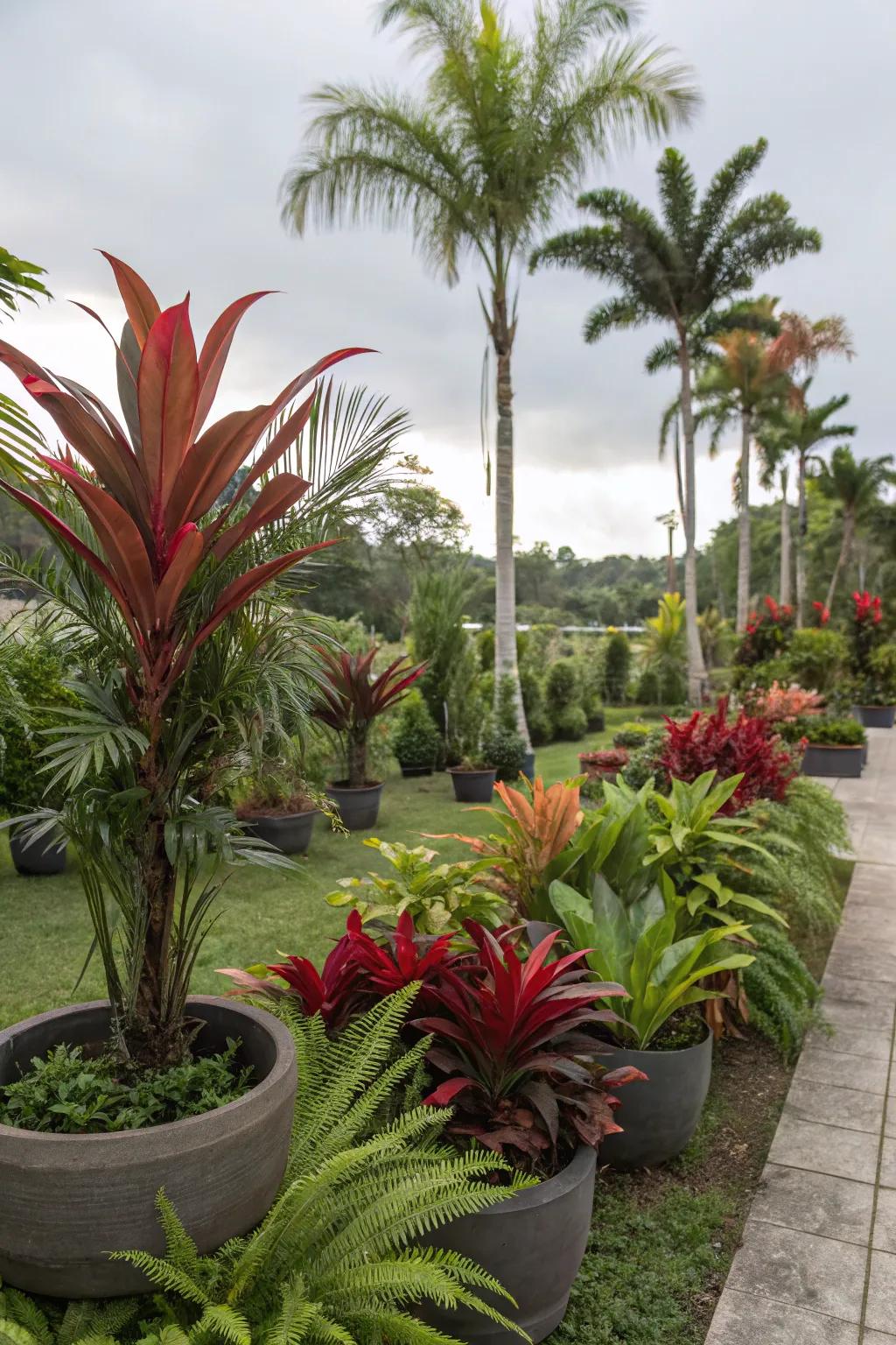 Large containers with bold plants create striking garden focal points.