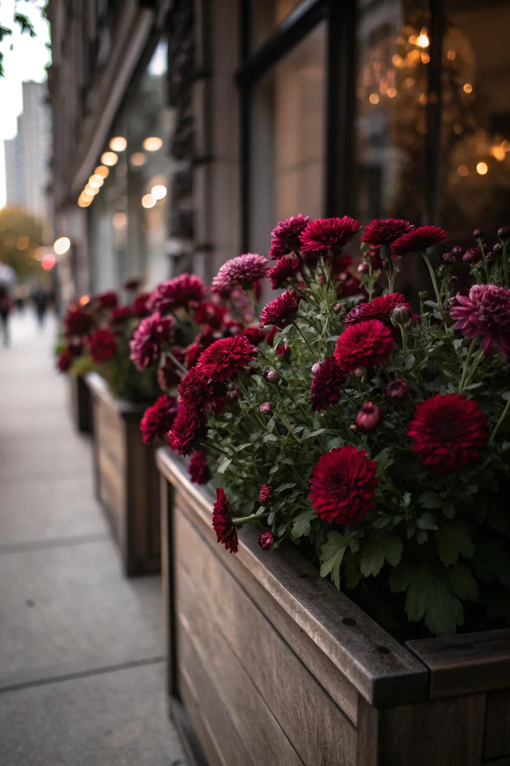 Burgundy flowers offer a sophisticated, moody winter vibe.