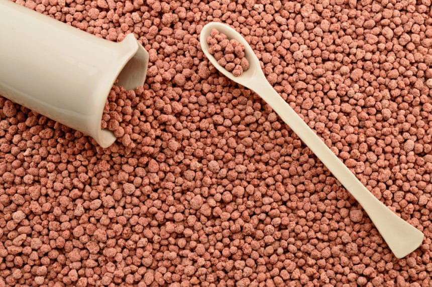 Asparagus Fertilizer » What, How & When to Feed