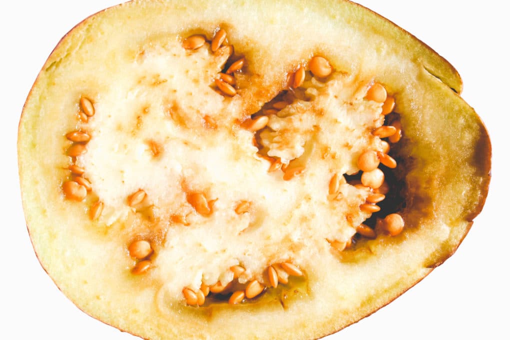 Do Eggplants Have Seeds and Can You Eat Them?