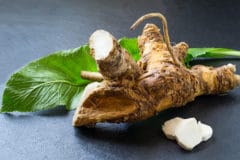 best-time-harvest-horseradish