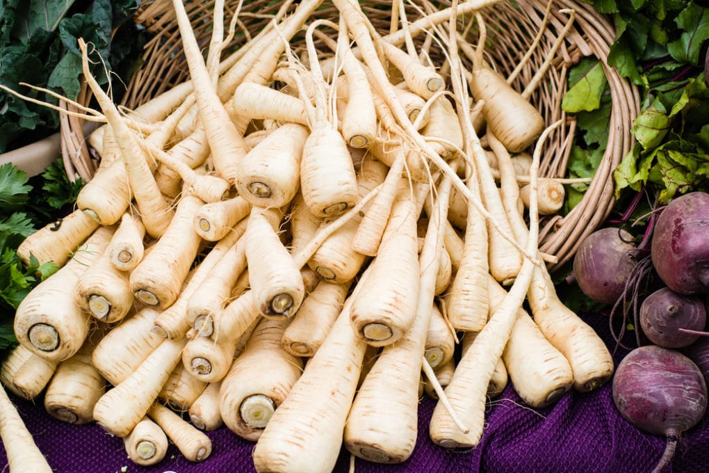 Harvest Your Horseradish With These Pro Tips