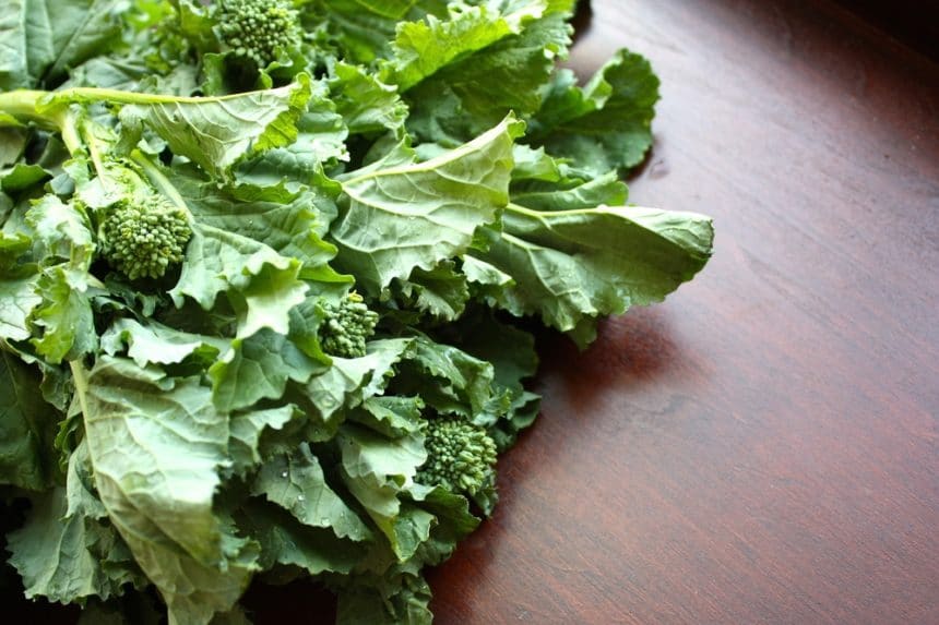 Picking Your Broccoli » Top Harvesting Tips