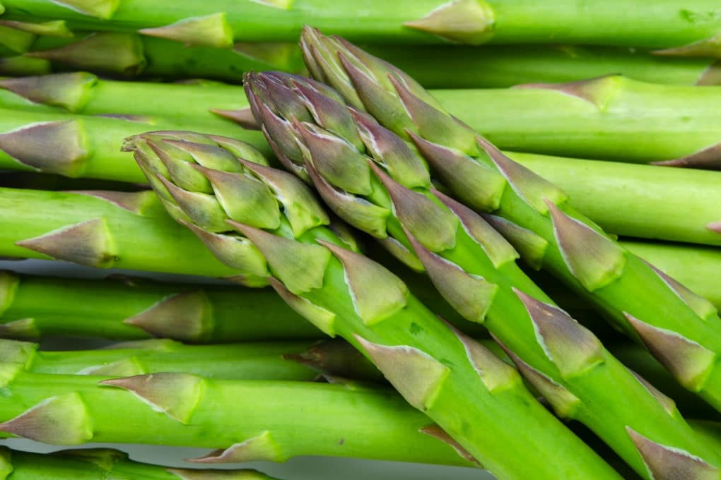 Asparagus Berries » Top Tips and Facts