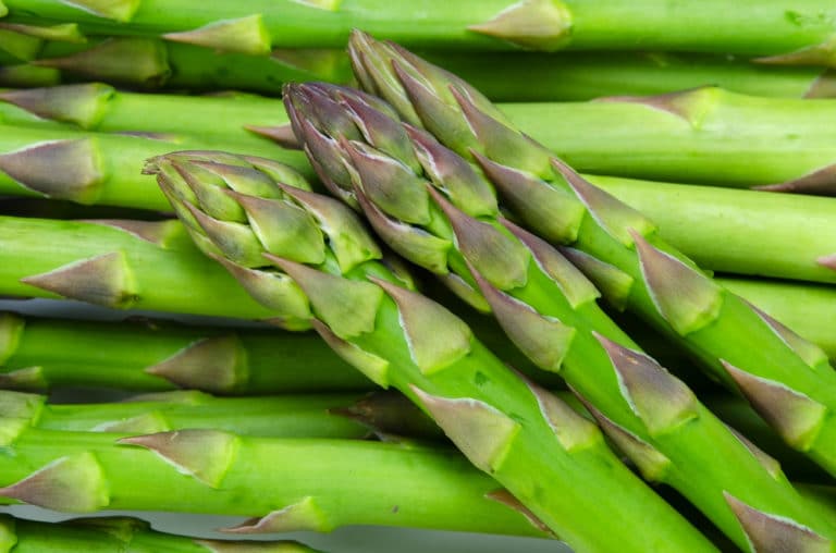 When to Cut Back Asparagus » Top Pruning Tips