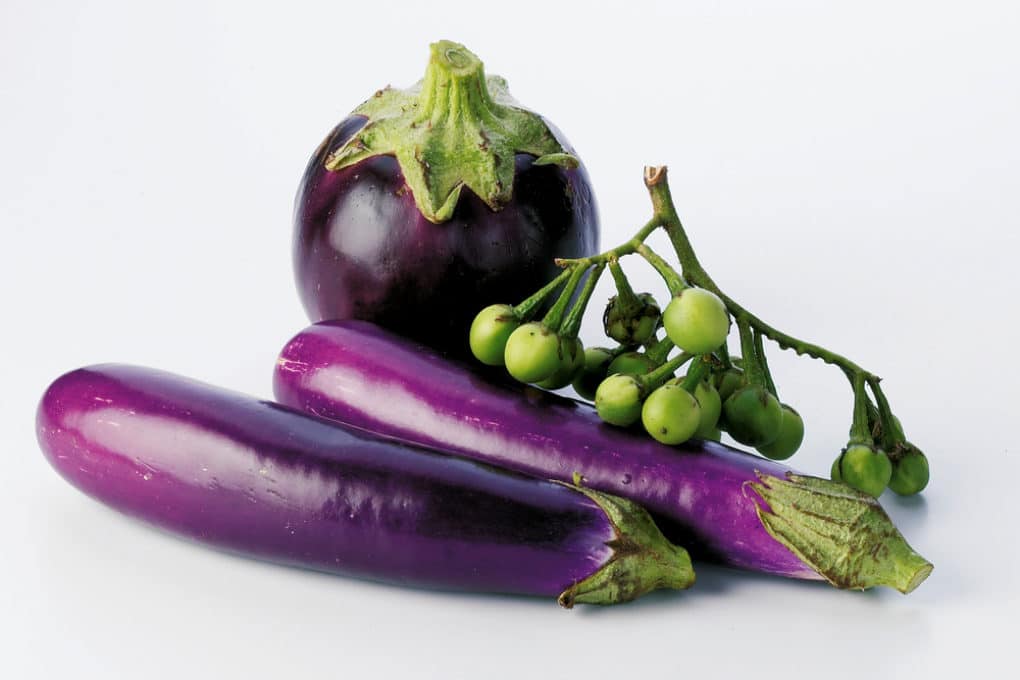 How to Can Eggplant » Is It Possible?