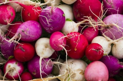 how-to-grow-radishes