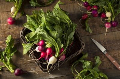 keep-radishes-fresh