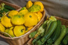 title-short-term-storage-summer-squash