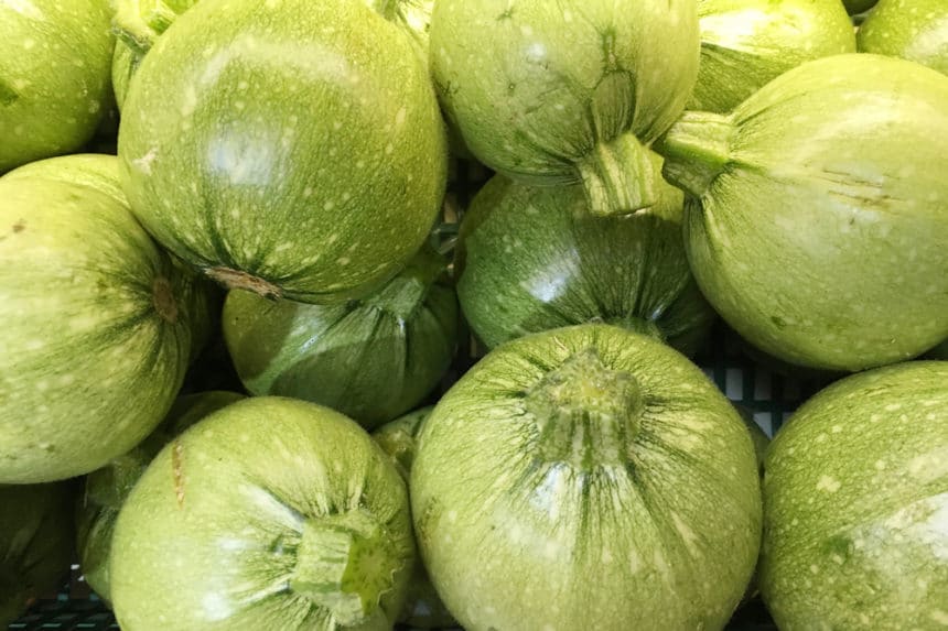 White Squash Pale in Color but Bursting with Flavor!