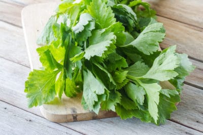 what-to-do-with-celery-leaves