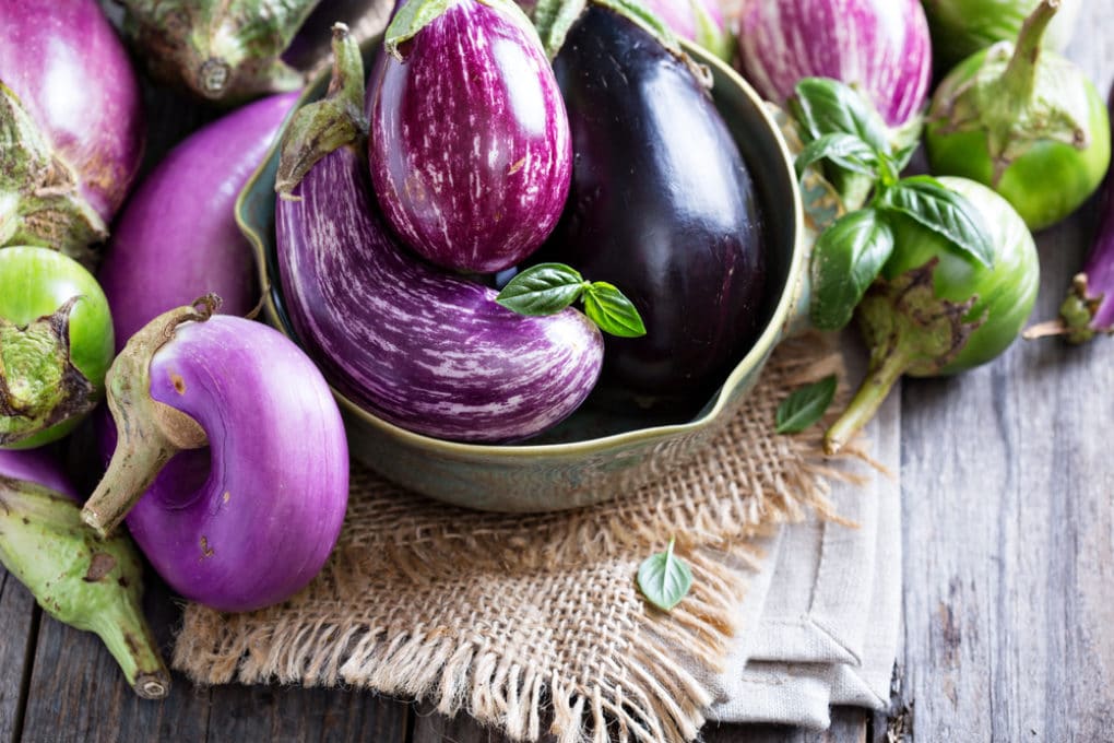 My Eggplants Aren't Growing » Reasons Why & Solutions