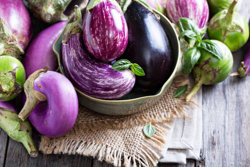 Growing Japanese Eggplant is Easy