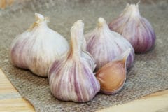 growing-garlic-containers