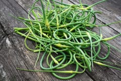 harvest-garlic-scapes