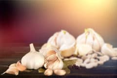 how-to-regrow-garlic